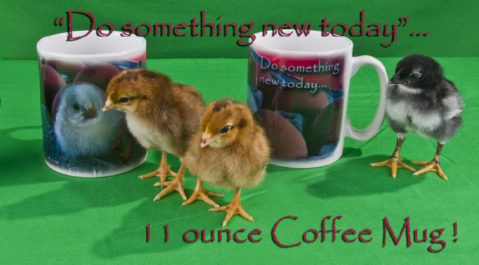 chicken coffee mug 11 oz