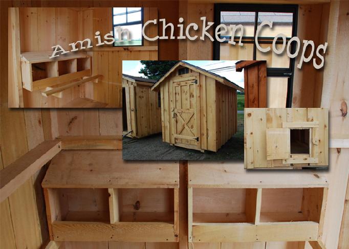 Amish Chicken Coops Designs